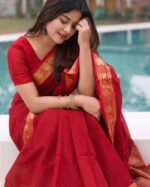 মেরুন রঙের চিরন্তন আভিজাত্য